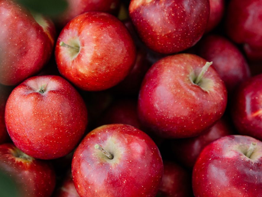 Sugar Burst Apples