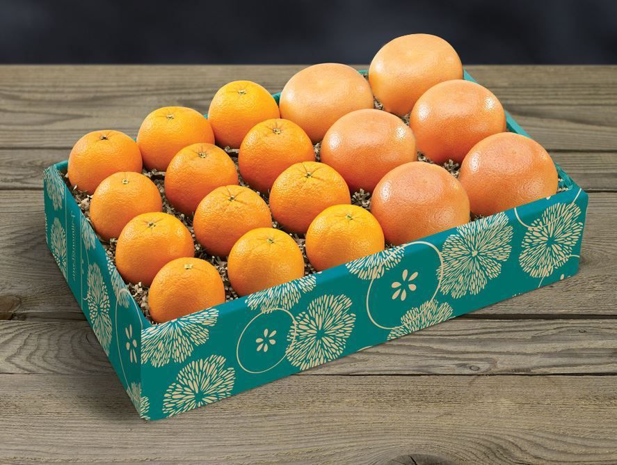 Ruby Red Grapefruit and Navel Oranges